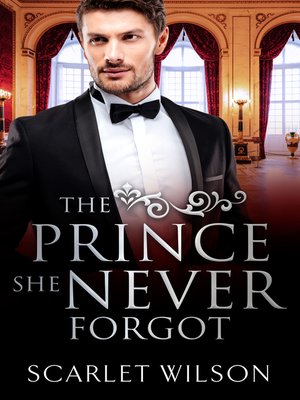 cover image of The Prince She Never Forgot